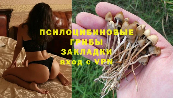 гидра Богданович
