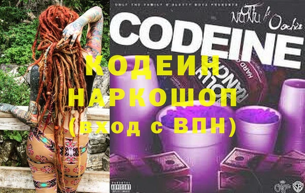 гашик Арсеньев