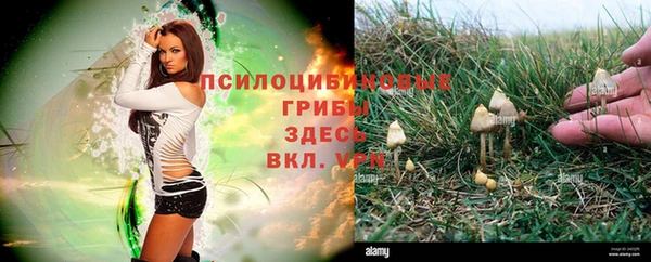 альфа пвп Армянск