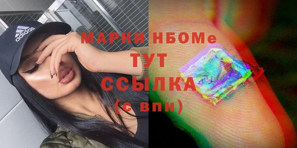 гидра Богданович