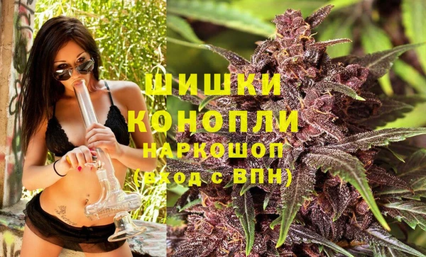 гашик Арсеньев