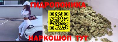 гидропоника Шали