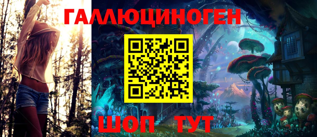 Галлюциногенные грибы Psilocybe Зима