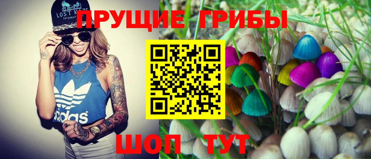 Галлюциногенные грибы Psilocybe  Вход с VPN  Зима 