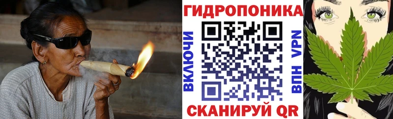 Канабис гибрид  Зима 